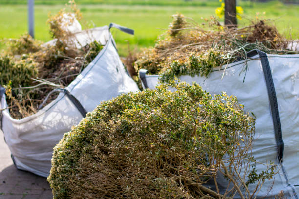  Bodega Bay, CA Junk Removal Pros